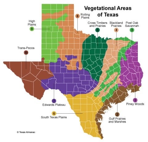 Vegetational Areas of Texas