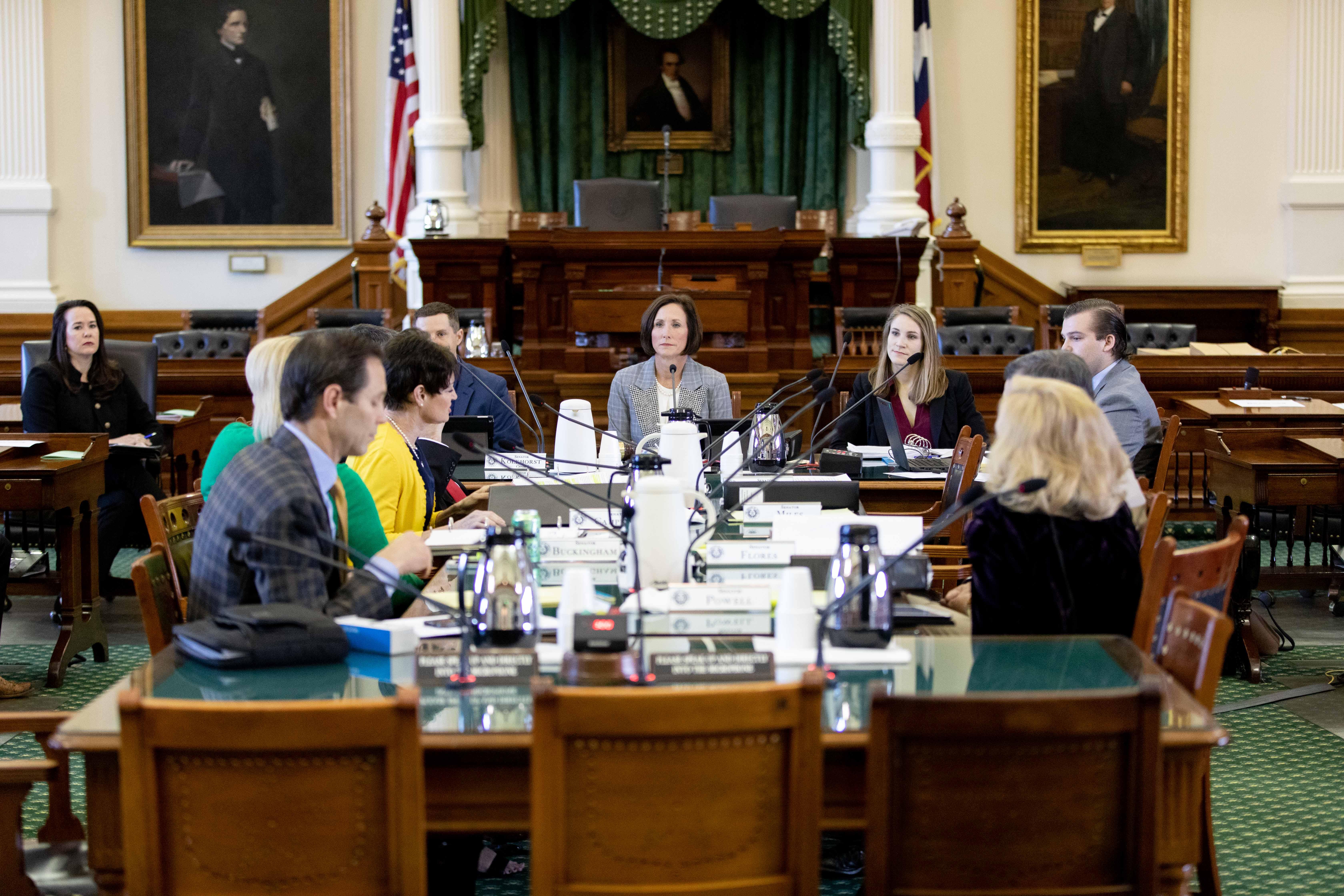The Health and Human Services Committee, 2019